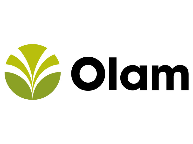 Olam